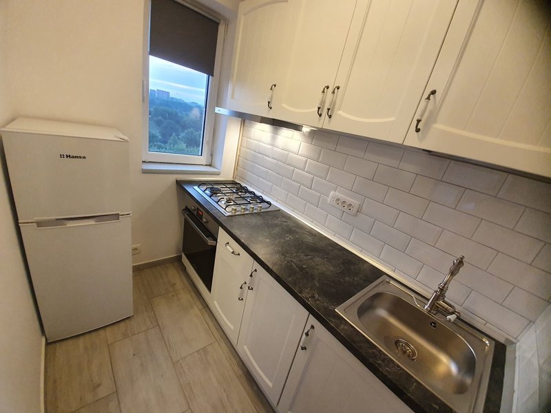 Titan, Parc IOR, Aleea Rotunda, Park Lake