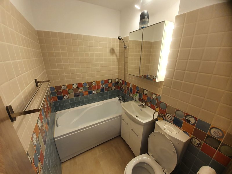 Titan, Parc IOR, Aleea Rotunda, Park Lake